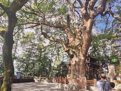 -安溪清水岩