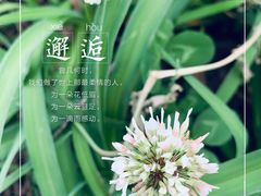-虎丘湿地公园