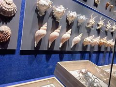 -重庆自然博物馆(新馆)