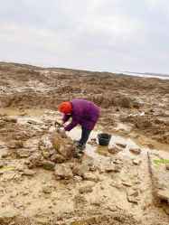 -万达宝贝王(青岛路万达广场店)
