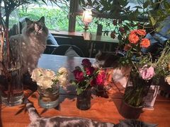 -咖法森林·咖啡  酒吧(天河店)