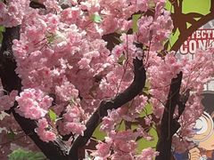 -学习谷日语培训日本留学·多语种外语教学(海淀人大分部)