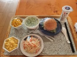 -上海美兰湖妇产科医院