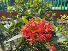 -一寨两国风景区