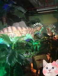 -恐龙探索乐园(磁器口店)