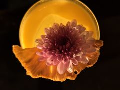 -云·酷 Atmosphere(国贸大酒店)