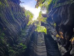 -梭布垭石林景区