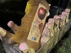 -厦门悦华酒店·绿庭主题自助餐厅