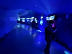 -烟台海昌鲸鲨海洋公园