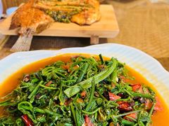 豆豉炒水蕨菜-傣宏缘·云南傣味特色菜·手抓饭·孔雀宴十六年店庆大酬宾(南屏步行街店)