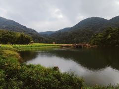 -广州市石门国家森林公园