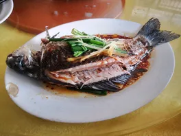 鲫*