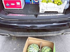-西郊国际农产品交易中心