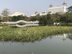 -映月湖公园