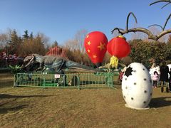 -洛阳郁金香牡丹园