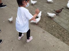 -1982农场