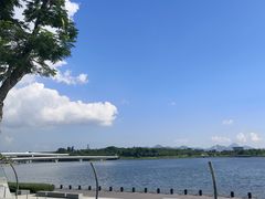 -深圳湾公园(南山区)