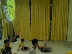 -勇气斑马·巴西柔术&跆拳道(浦东三林店)