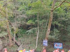 -龙颈河漂流