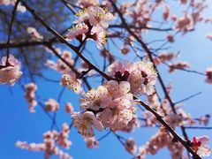 -吉林大学(南岭校区)