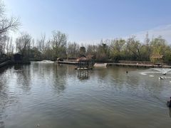 -溱湖国家湿地公园