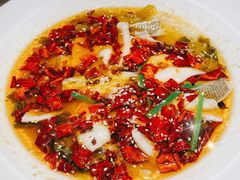 -金牌外婆家(万象城店)