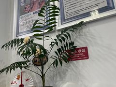 -雅仕康口腔