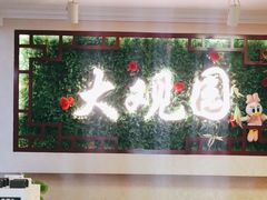 -大观园影院式足浴Spa店(沙坪坝店)