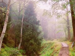-九华山风景区月身宝殿