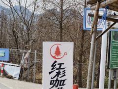 -小芝红树林