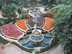 -南山植物园