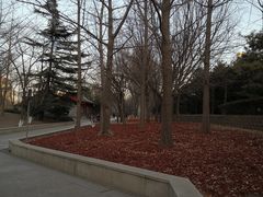 -元大都城垣遗址公园