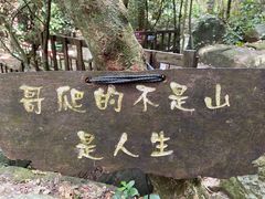 -七仙岭温泉国家森林公园