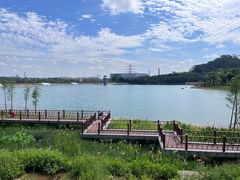 -水濂山森林公园