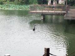 -上海怡沁园度假酒店