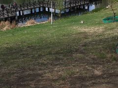 -长春公园(普阳街道)