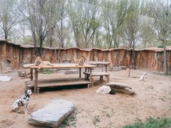 -北京野生动物园