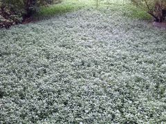 景点-贵阳市花溪国家城市湿地公园