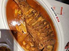 -阿五黄河大鲤鱼(建业路店)