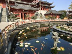 -上海东林寺(金山区)