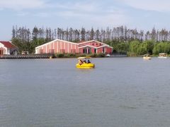 -上海长兴岛郊野公园