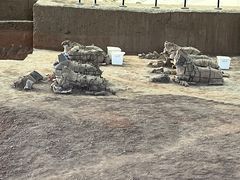 -秦始皇帝陵博物院(兵马俑)