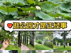 -四海公园(南山区)