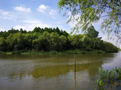 -新江湾城公园