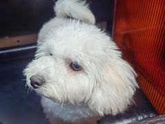 -杨记齐齐哈尔烤肉(总店)