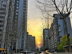 -西贝莜面村(金隅嘉品mall店)