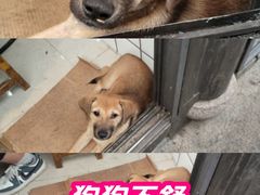 -南翔饭店