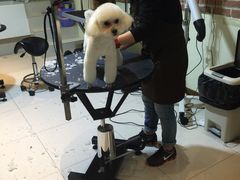 -Oh My Dog宠物沙龙(伊珊娜皮毛护理店)
