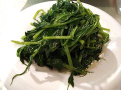清炒豆尖-峨嵋酒家总店(车公庄店)