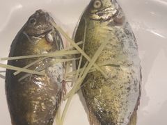 -青蓬蒸汽海鲜·深圳老字号·团建聚会(壹方城店)